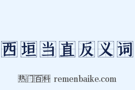 西垣当直反义词是什么意思的图片